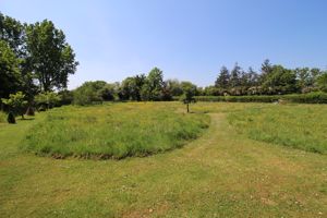 Paddock- click for photo gallery